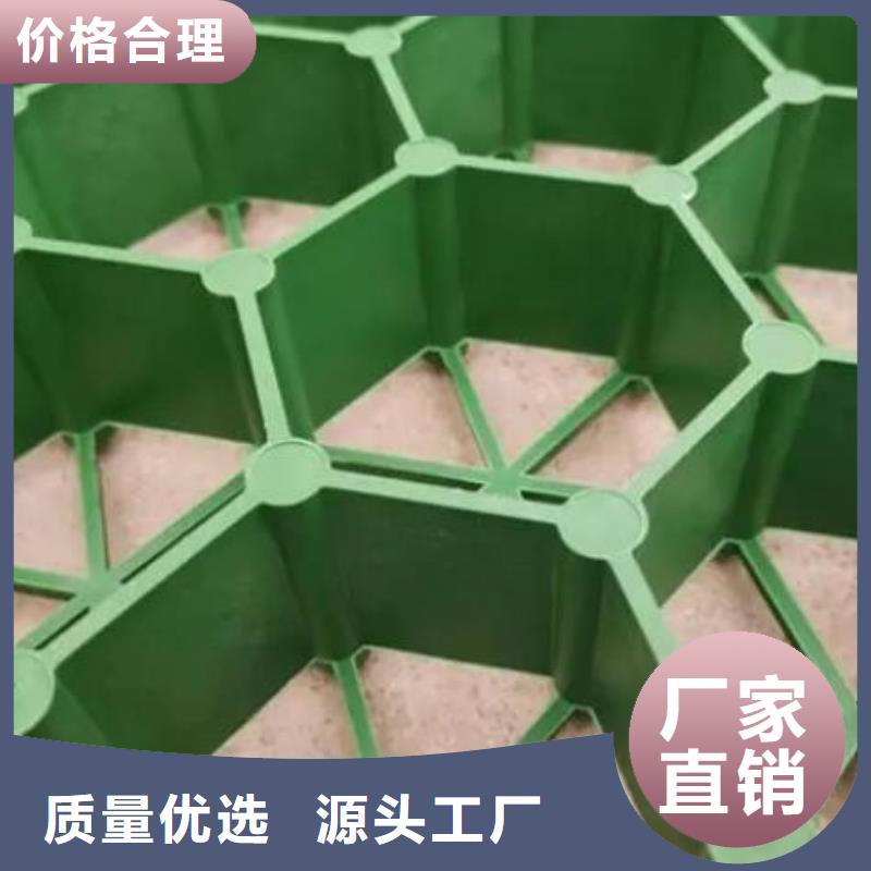 塑料植草格有限公司