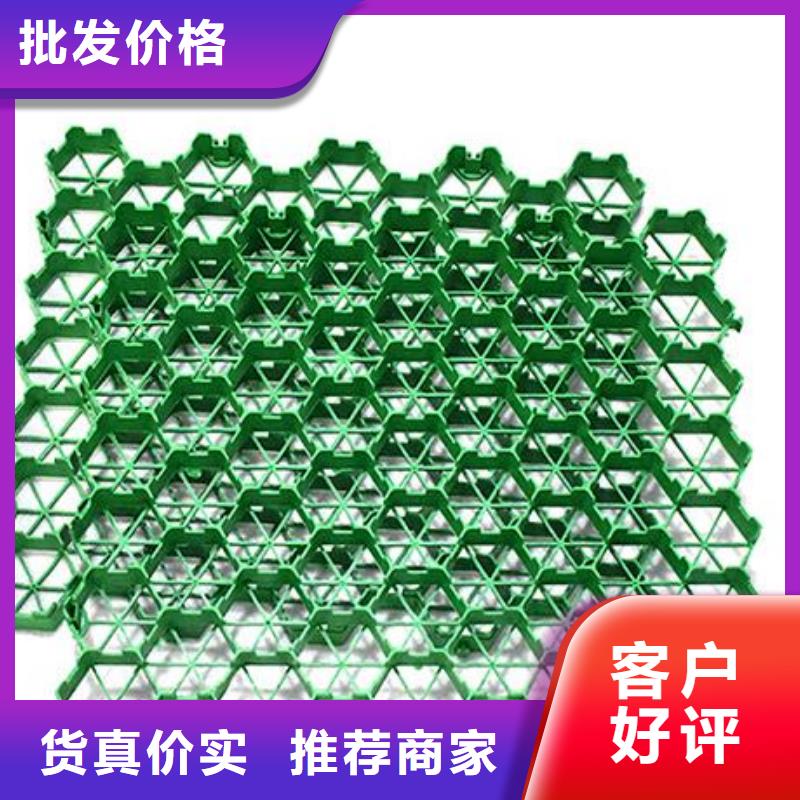植草格-车库虹吸排水系统一致好评产品
