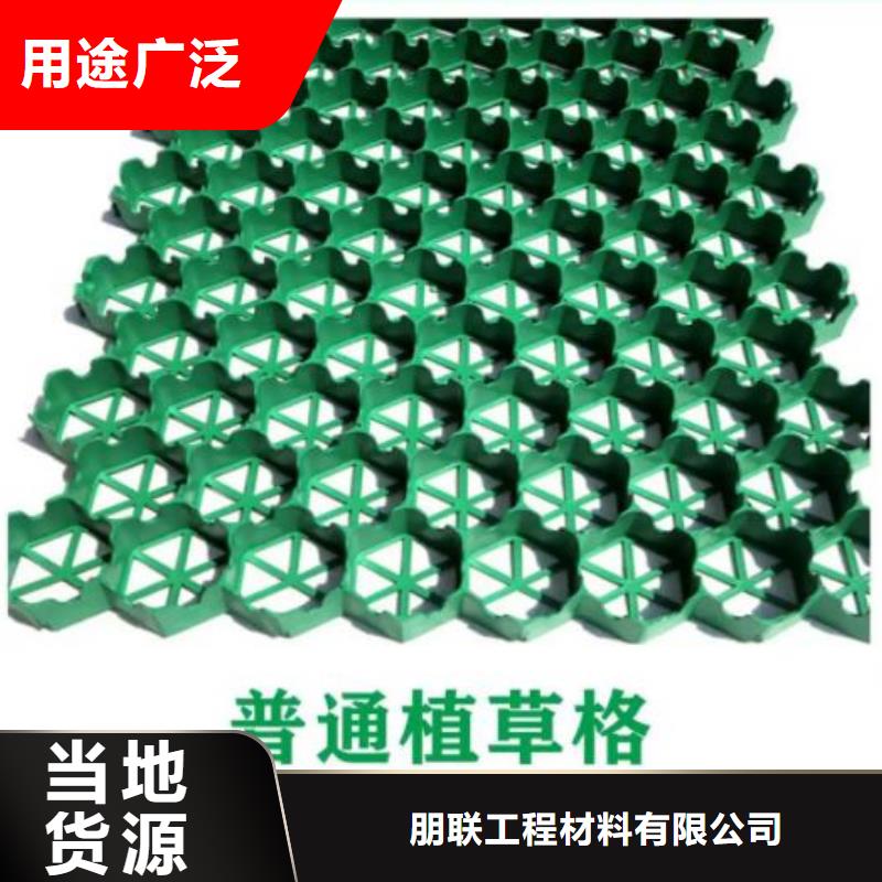 塑料植草格生产厂家