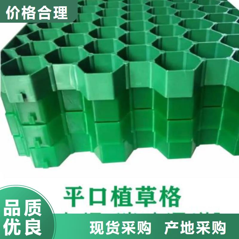 停车场植草格供应商