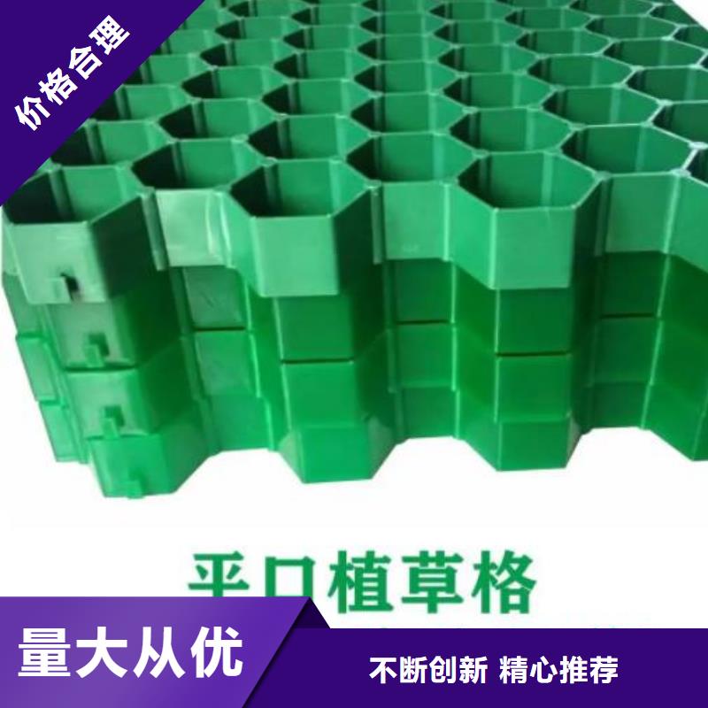 塑料植草格-消防通道植草格厂家
