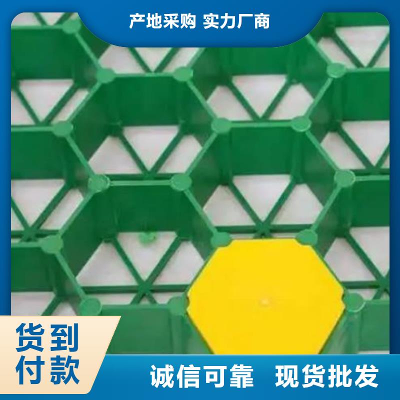 植草格,植草格工厂现货供应