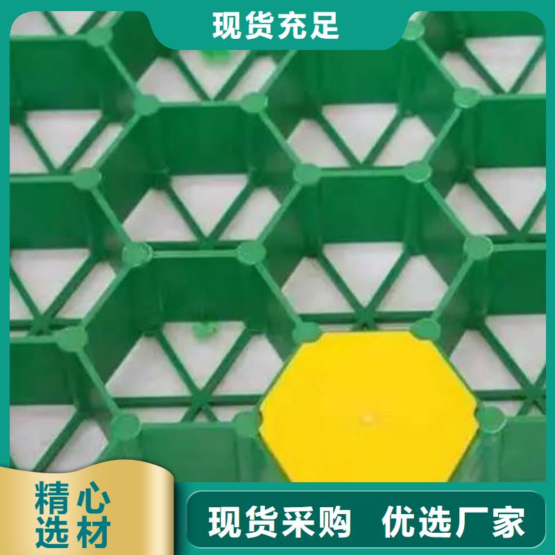塑料植草格型号全都有
