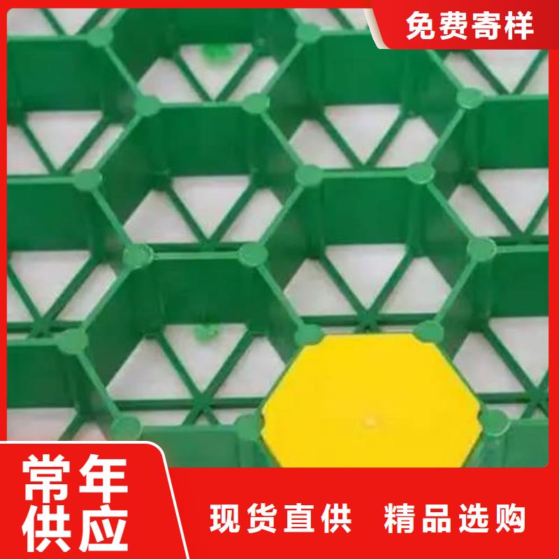 塑料植草格厂家-批发价