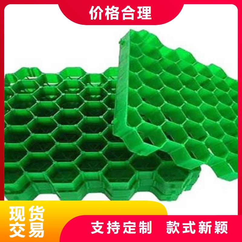 植草格【防护虹吸排水收集系统】用的放心