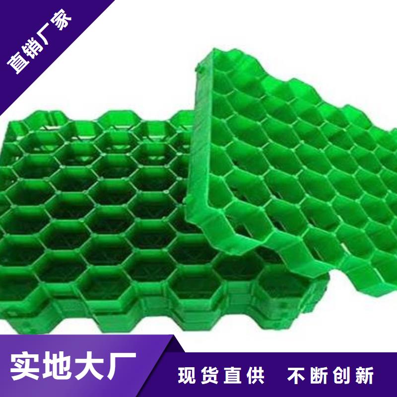 塑料植草格朋联工程材料有限公司厂家直营