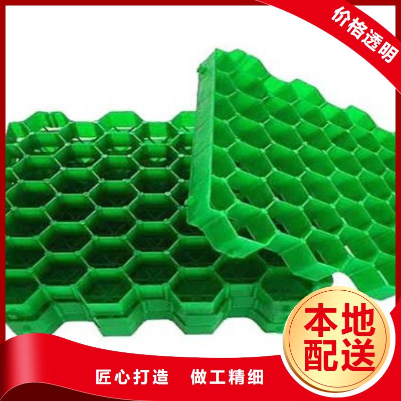塑料植草格*生产厂家