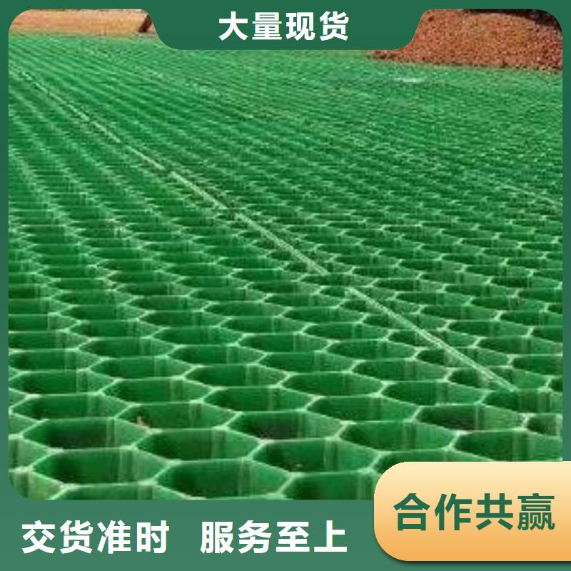 塑料植草格朋联工程材料有限公司厂家直营