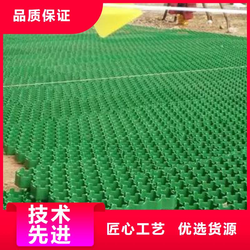 塑料植草格本地工厂@直营中