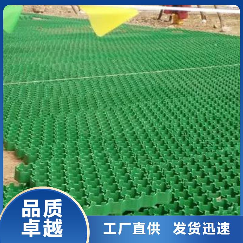植草格本地公司