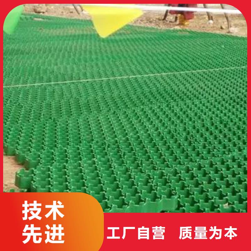 塑料植草格价格咨询