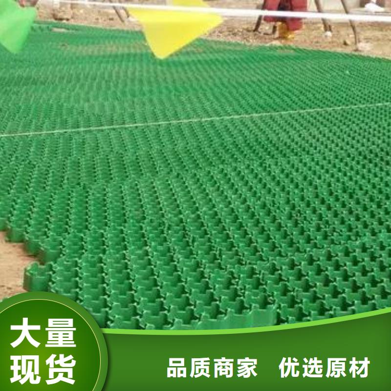 塑料植草厂家#朋联工程