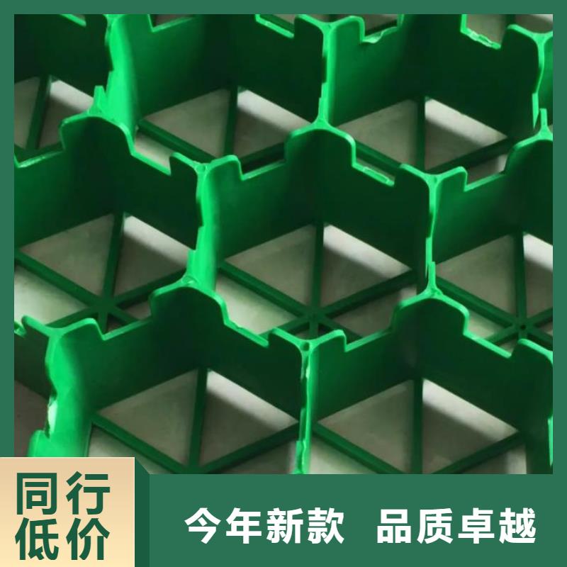 植草格-防护虹吸排水收集系统生产经验丰富