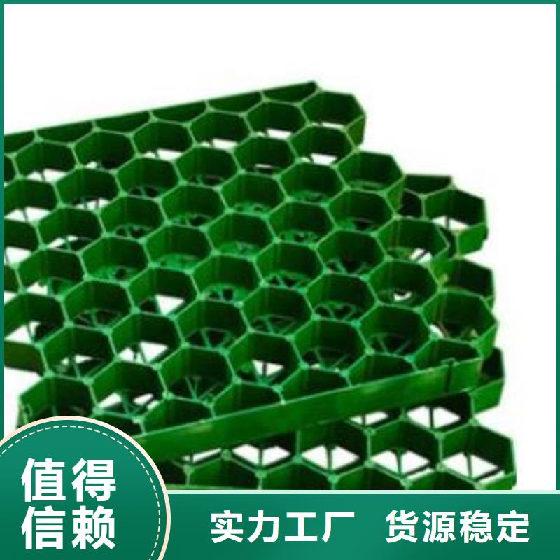 塑料植草格有限公司
