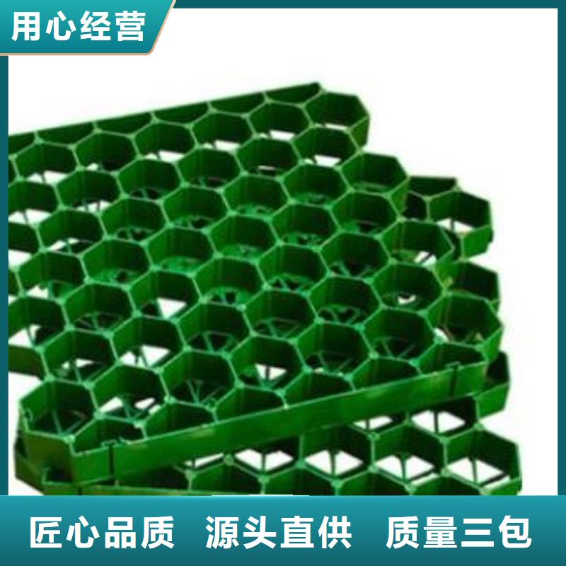 塑料植草格厂家代理商