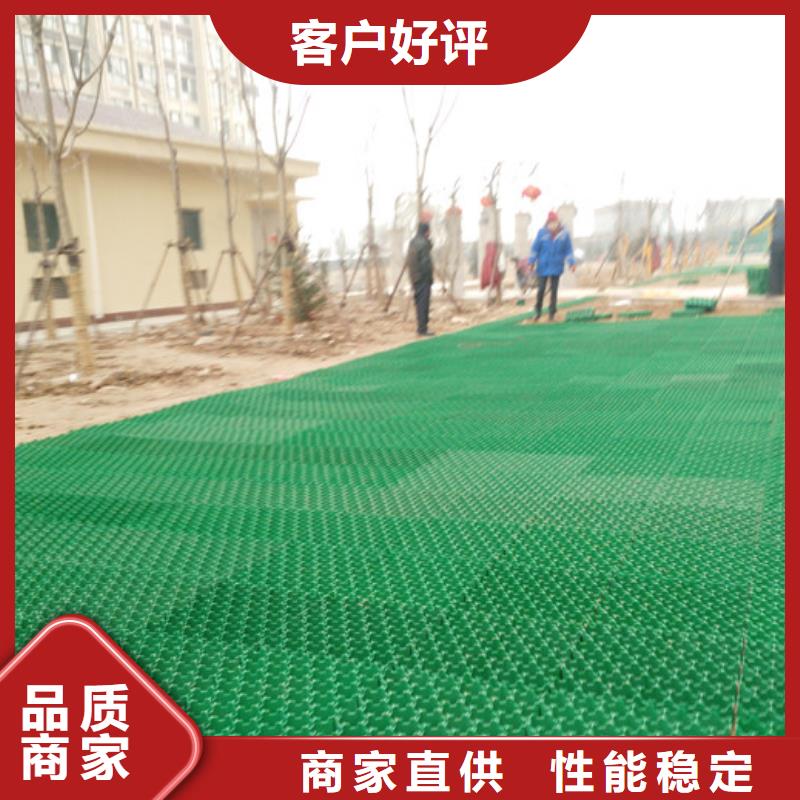 塑料植草格批发-行情价