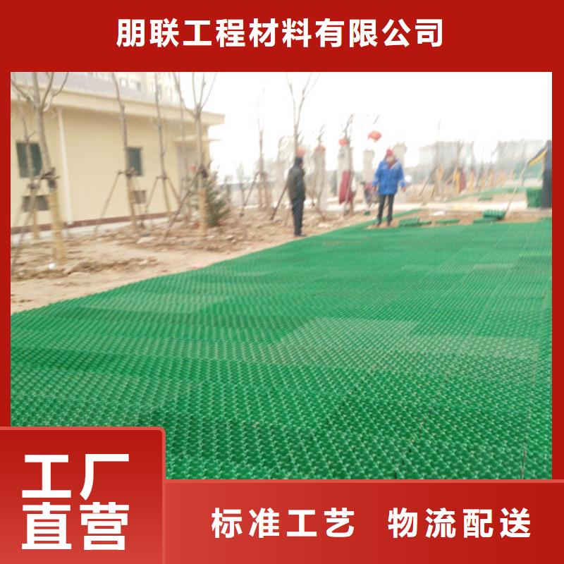 塑料植草格价格#行情价2025