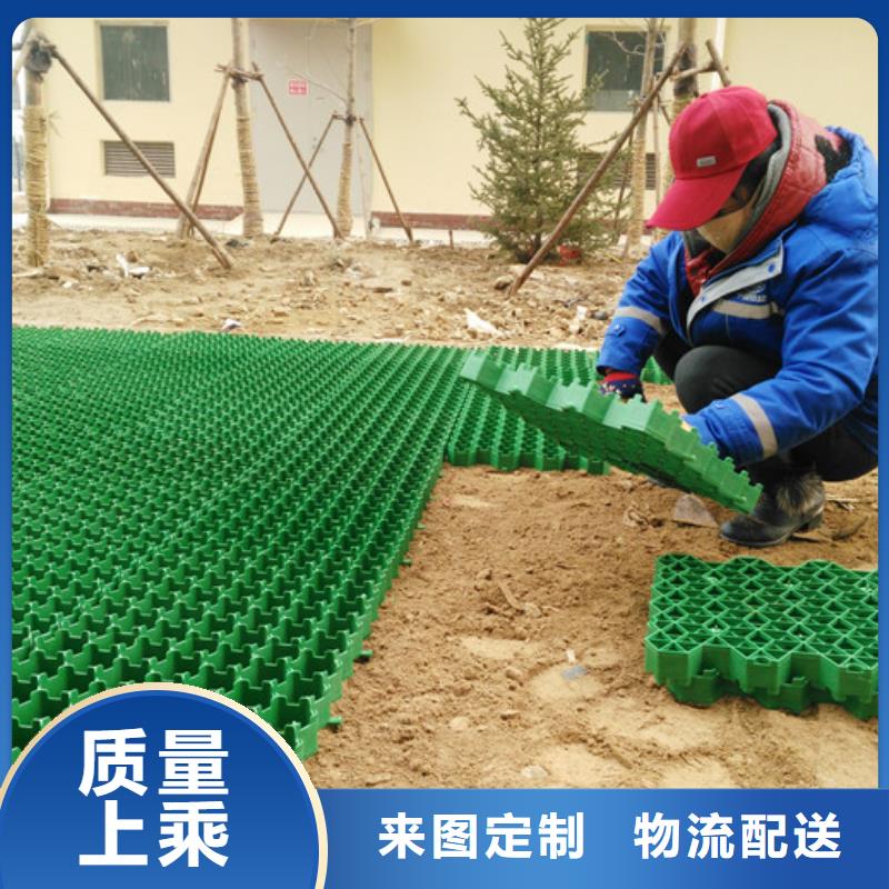 塑料植草格价格#行情价2025