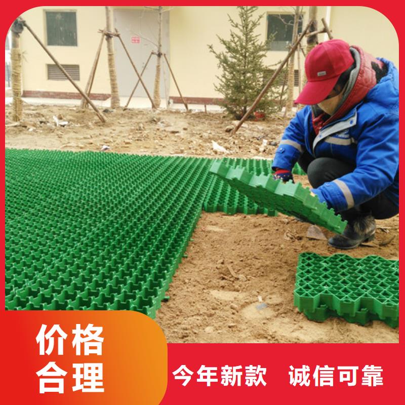 植草格厂家供应