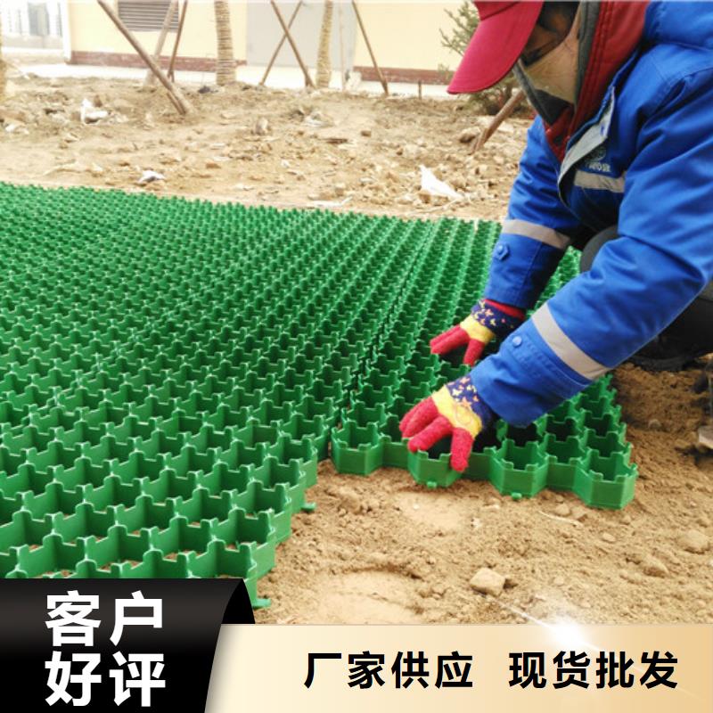 塑料植草格-联系方式