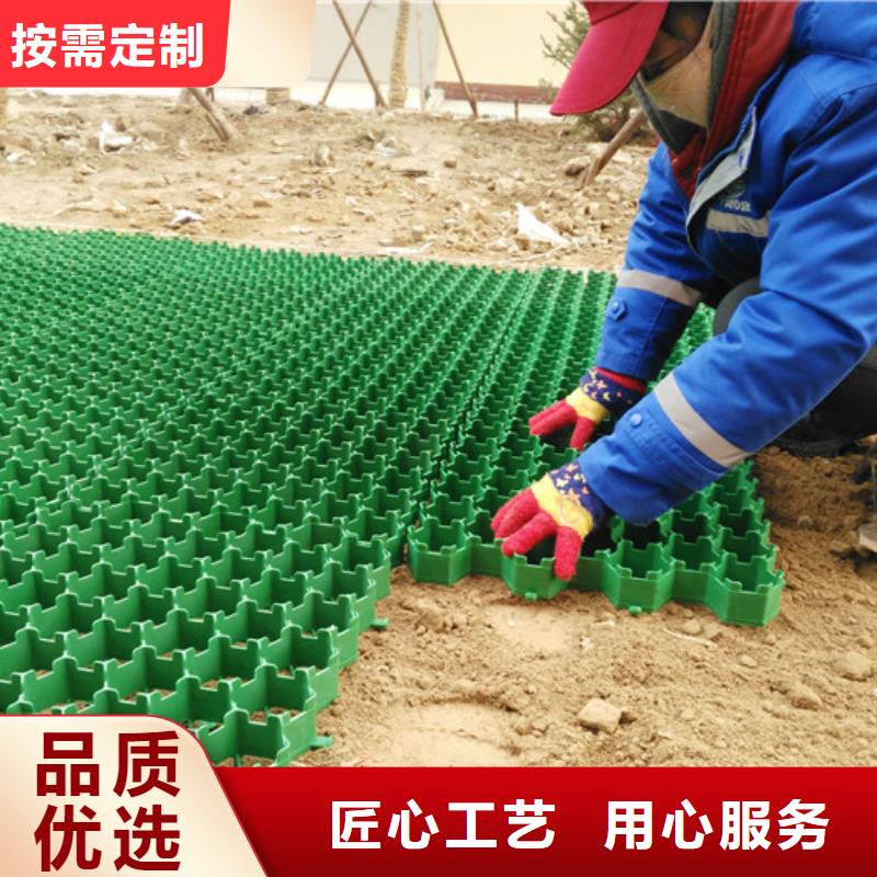 塑料植草格朋联工程材料有限公司厂家直营