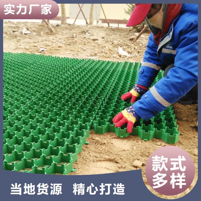 塑料植草格厂家供应