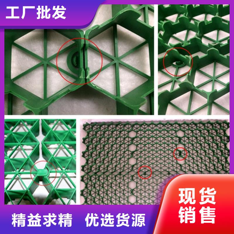 植草格厂家-批发零售价