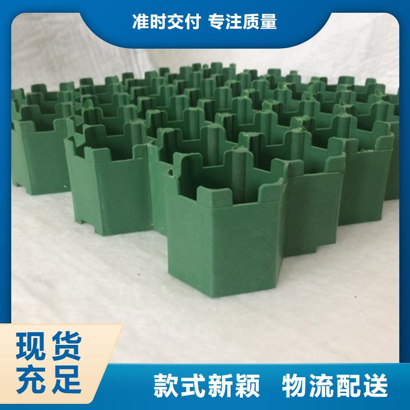 塑料植草格-消防通道植草格厂家