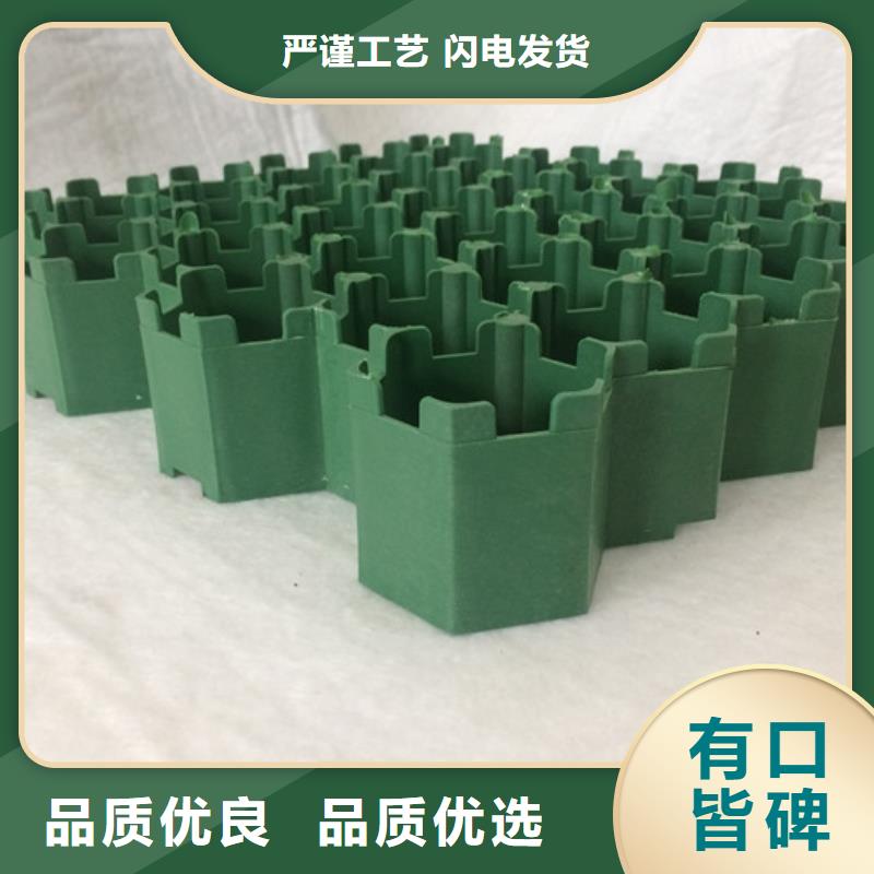 塑料植草格-实业集团