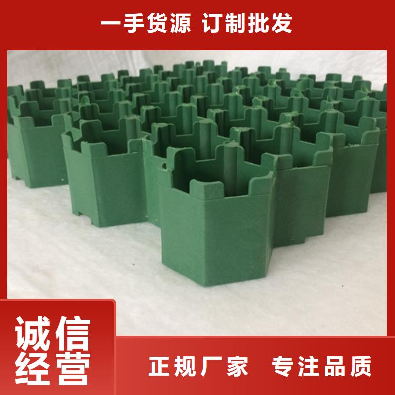 塑料植草厂家#朋联工程