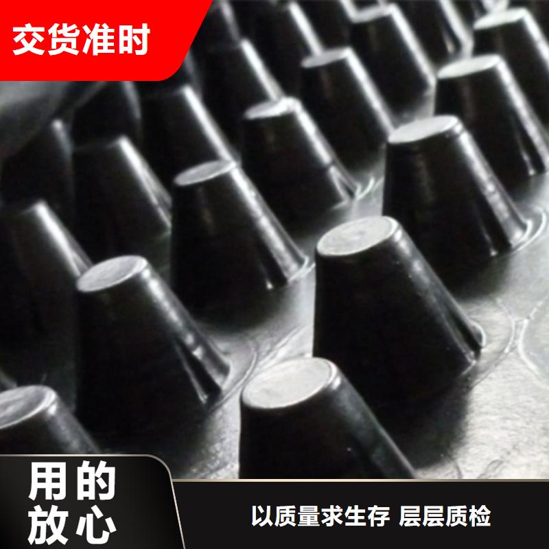排水板放心购买