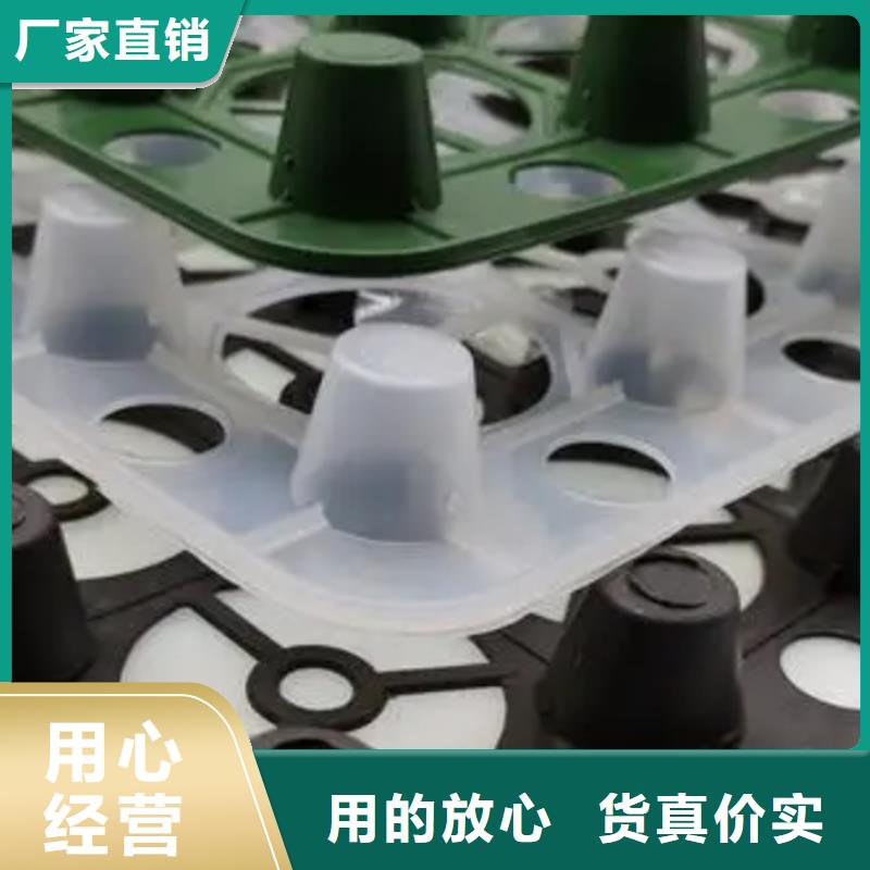 塑料排水板放心购买
