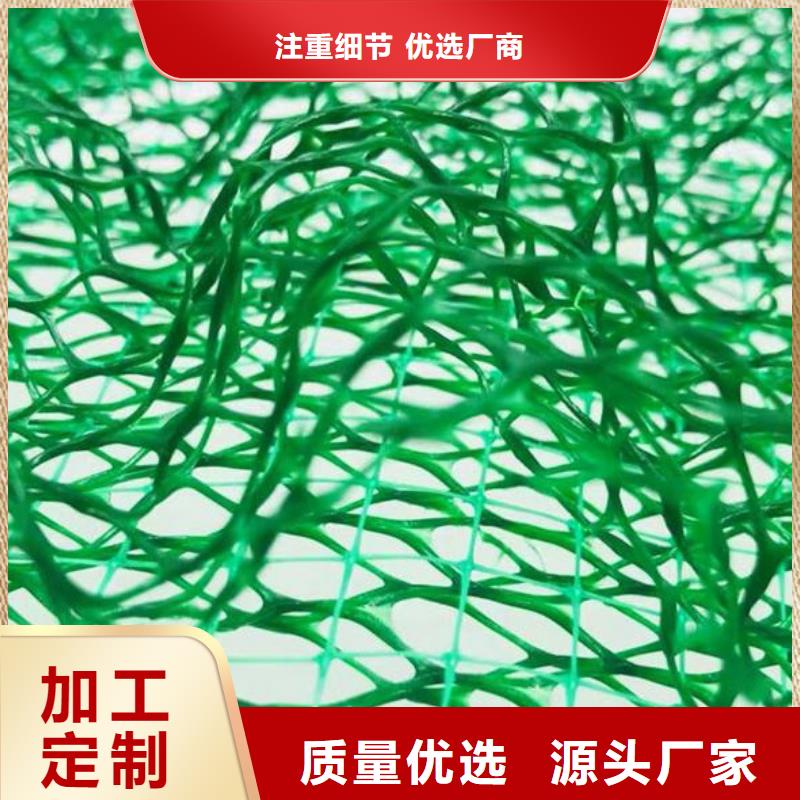 三维植被网植草格诚信商家服务热情