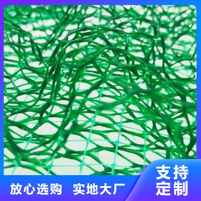 三维植被网防护虹吸排水收集系统按需设计