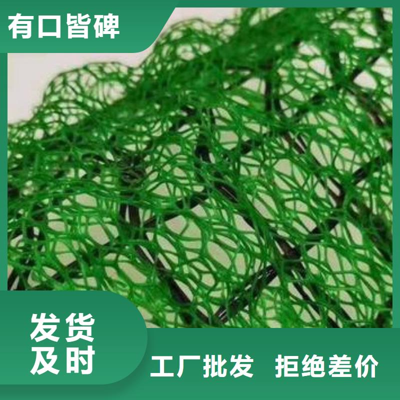 护坡土工网型号