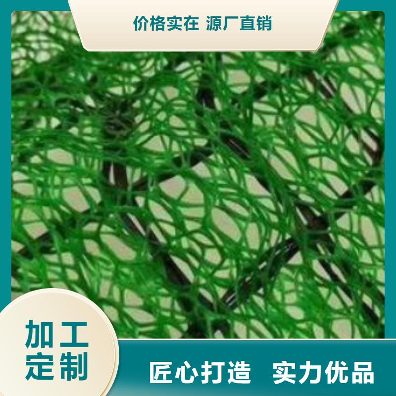 三维植被网植草格诚信商家服务热情
