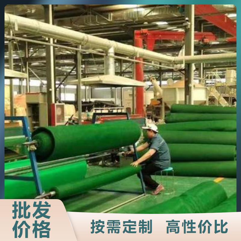 三维植被网型号全_全国供应
