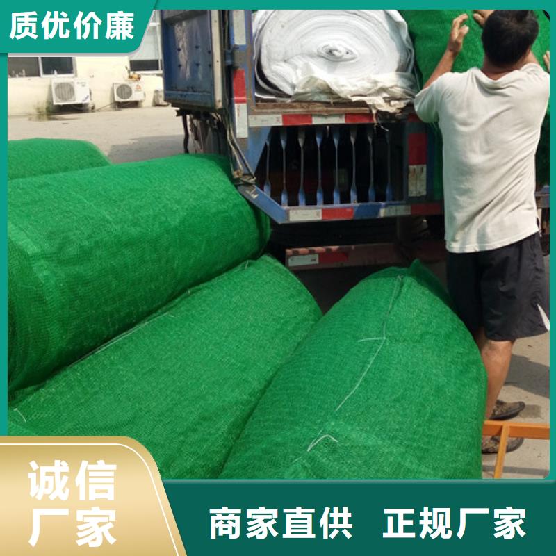 护坡土工网工厂店直营