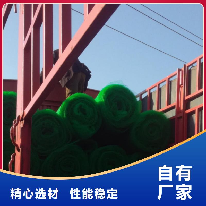 三维植被网植草格诚信商家服务热情