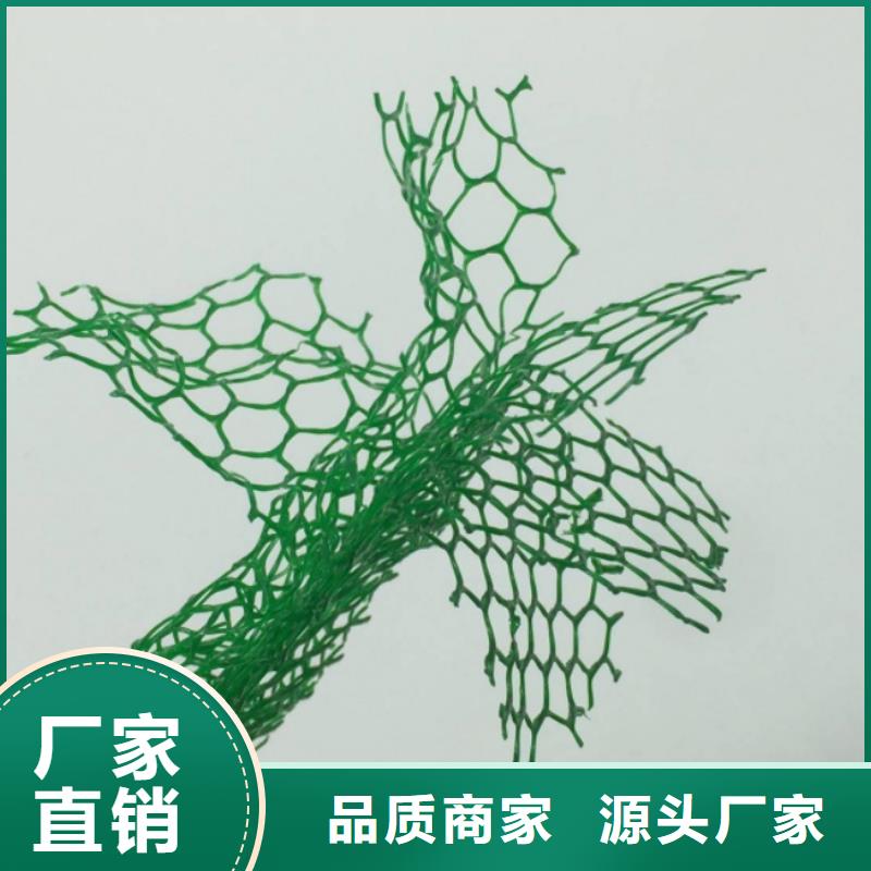 三维植被网水泥化粪池行业优选