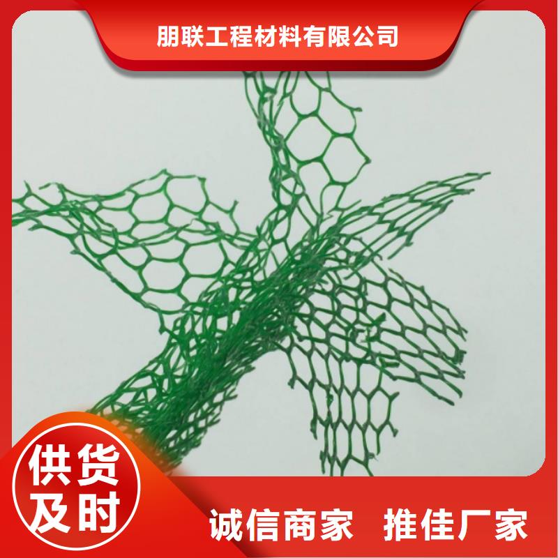 三维植被网厂家定制价
