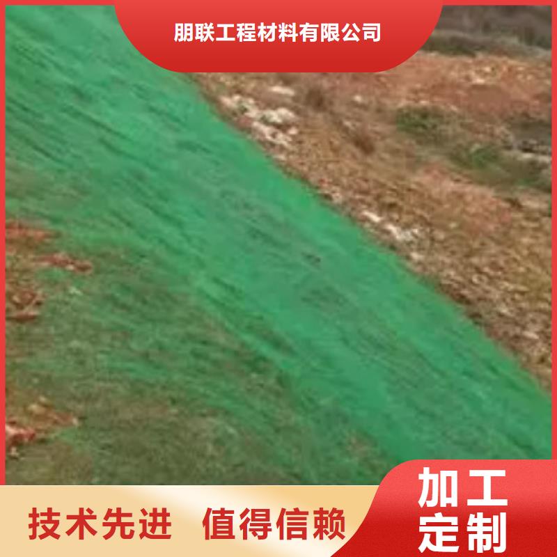 三维植被网植草格源头厂家来图定制