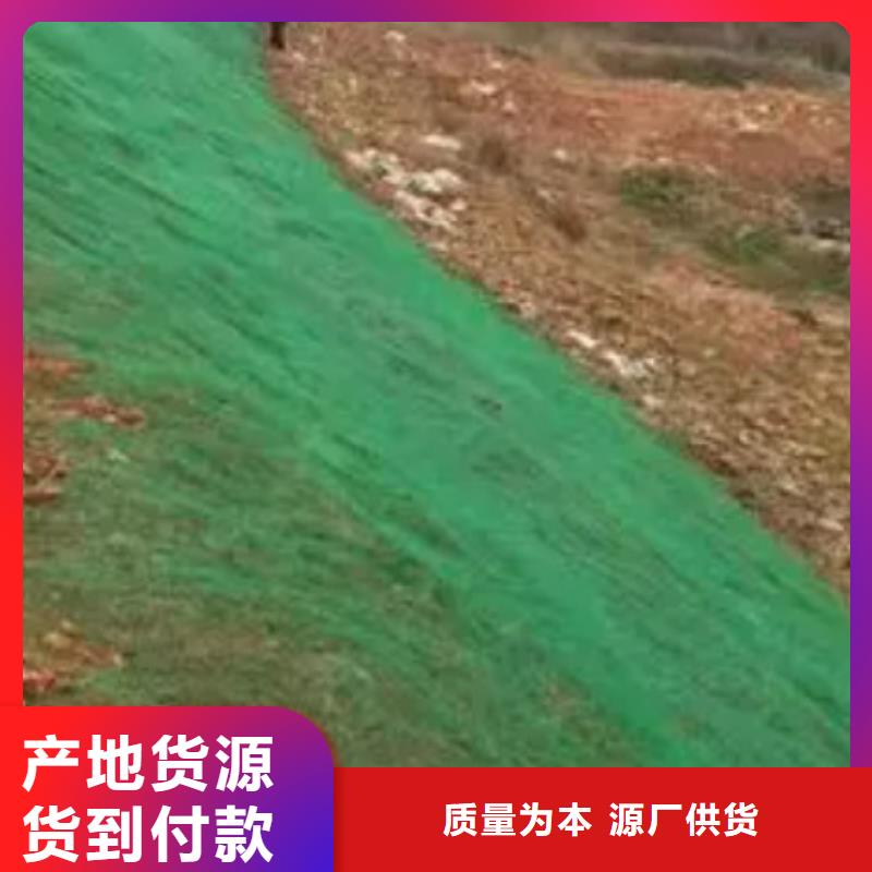 三维植被网-防护虹吸排水收集系统种类多质量好