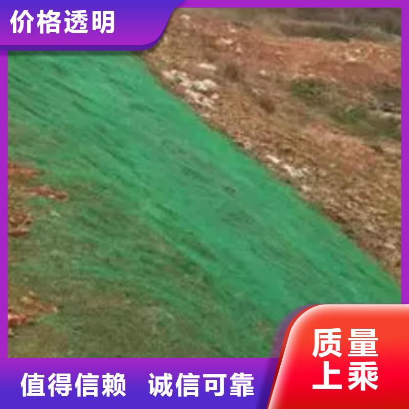三维植被网植草格专业供货品质管控