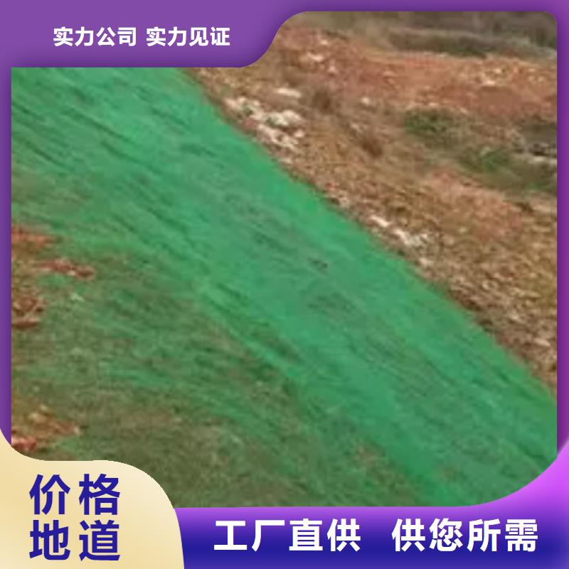 三维植被网规格型号
