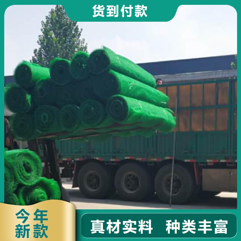 三维土工网垫本地厂家