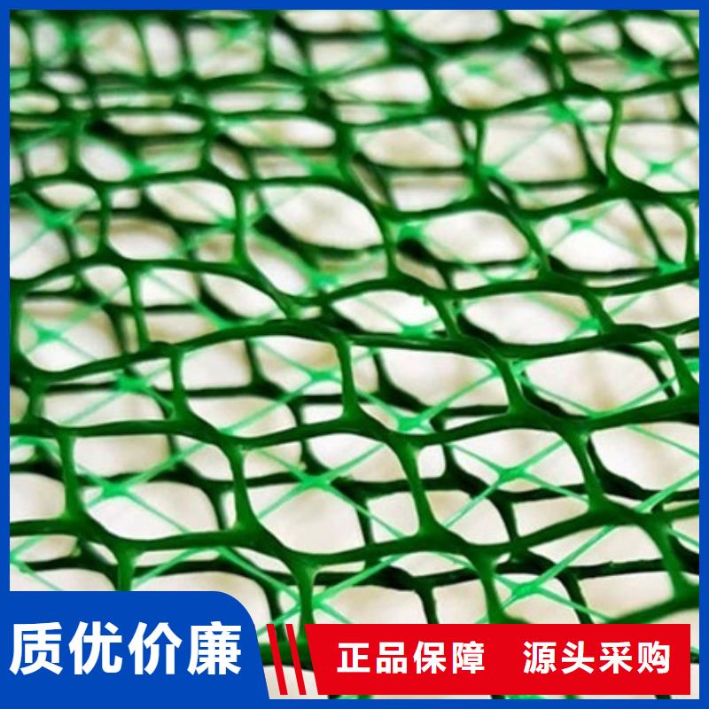 三维植被网植草格源头厂家来图定制