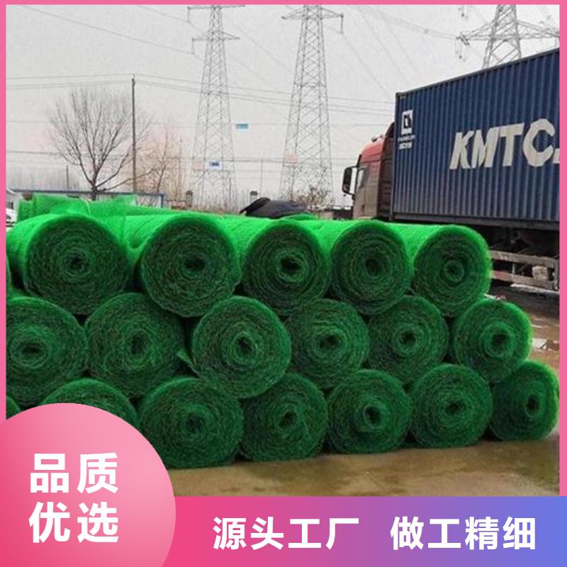 三维土工网垫有限公司-批发生产