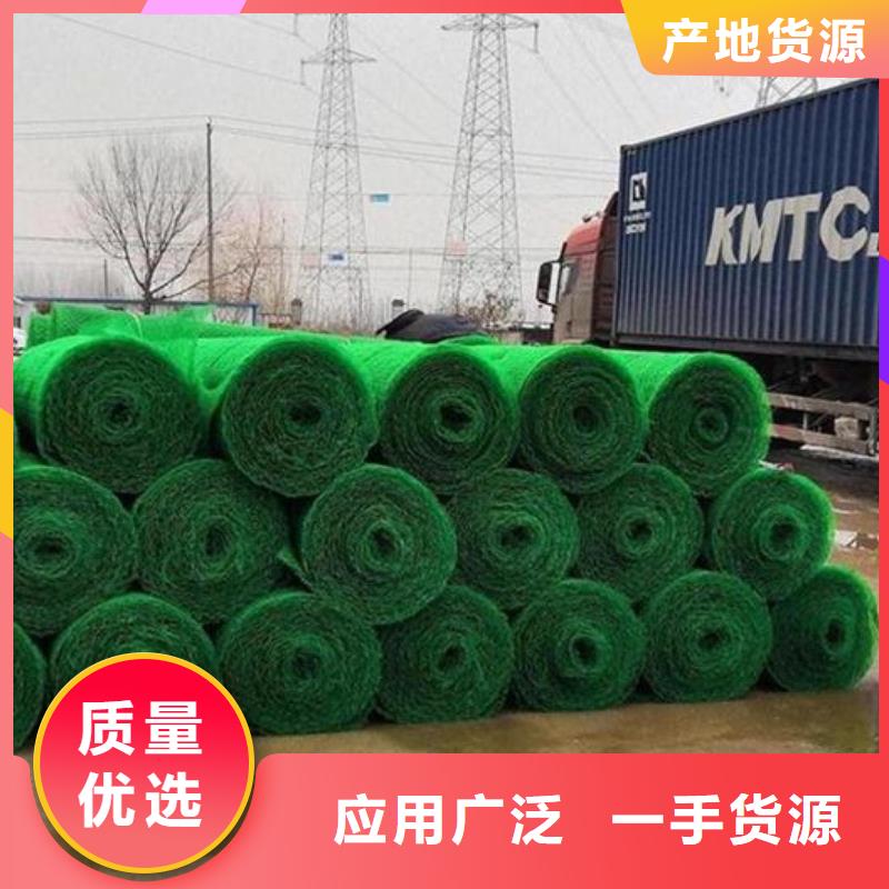 三维植被网植草格一站式采购方便省心