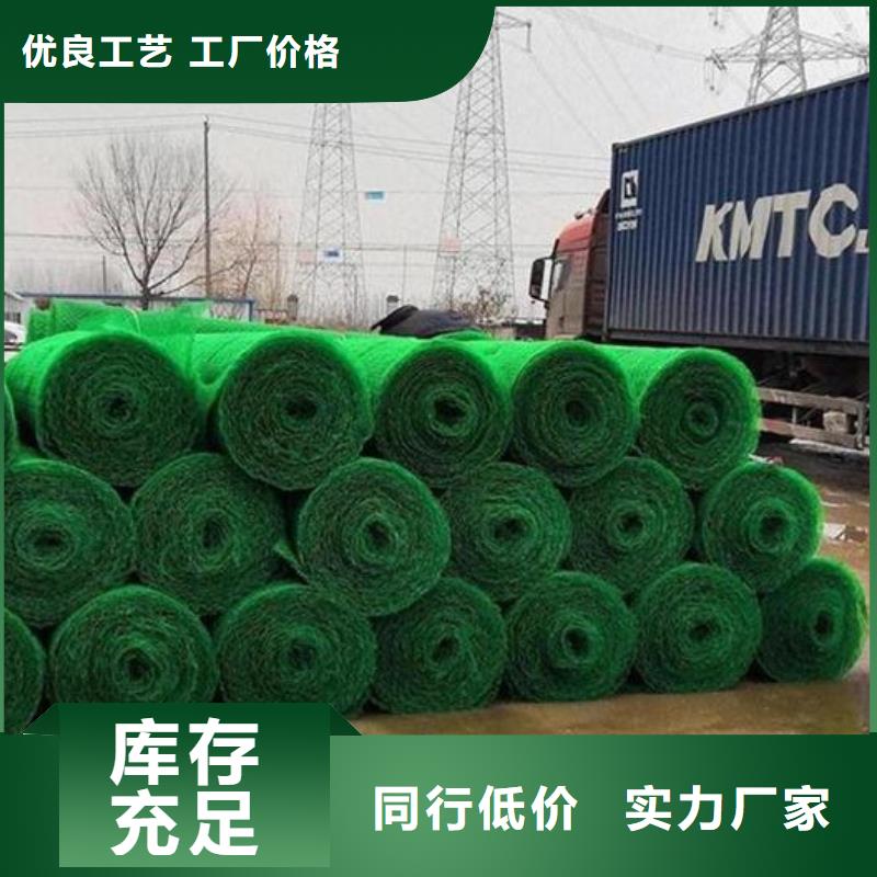 三维植被网生产厂家